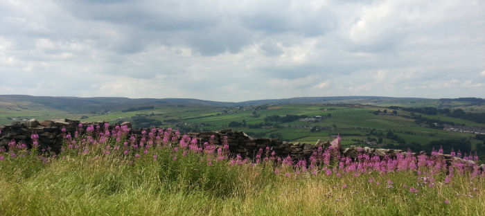 View of Bronte Country
