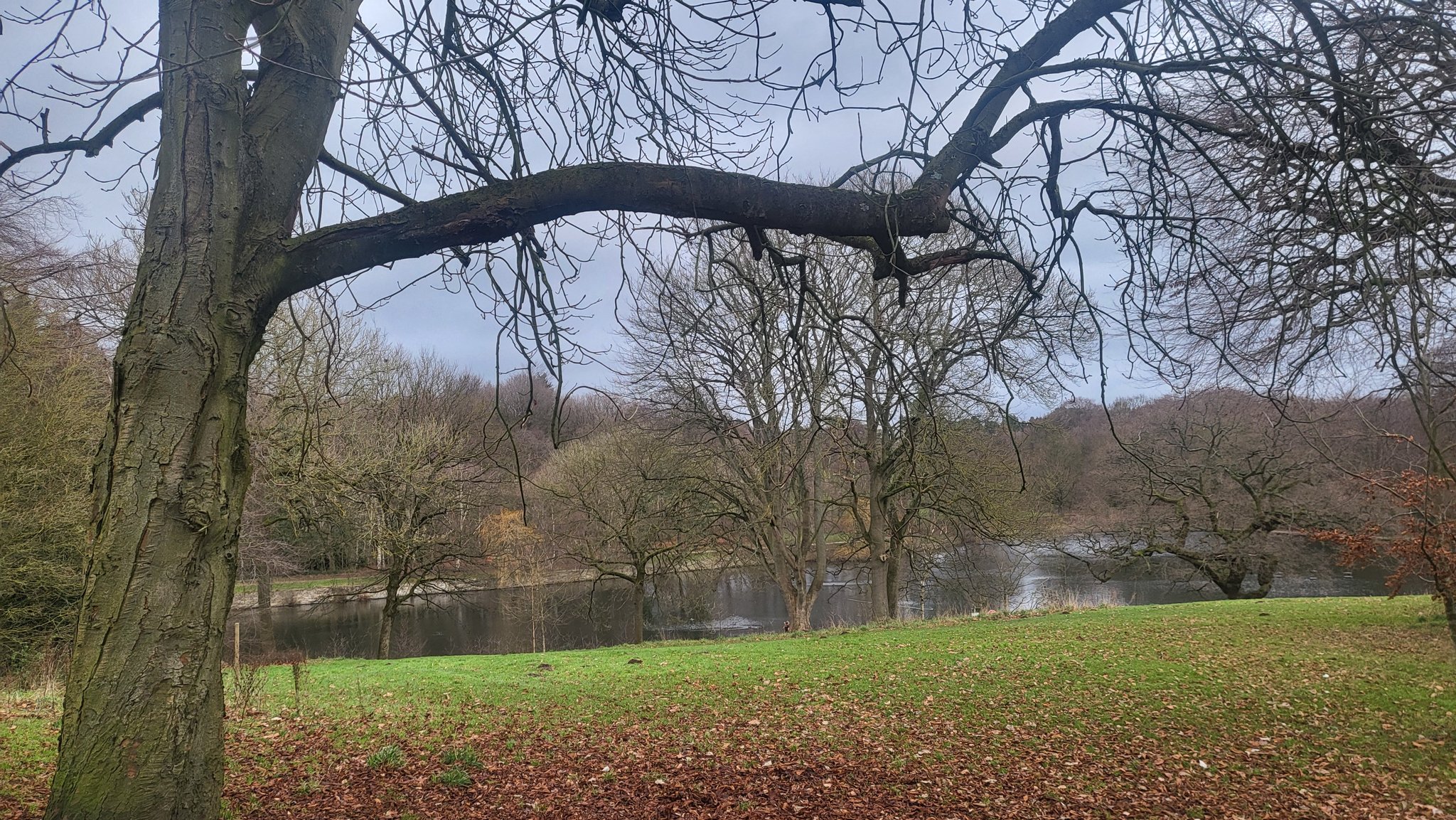 Lake at Roundhay Park, Leeds